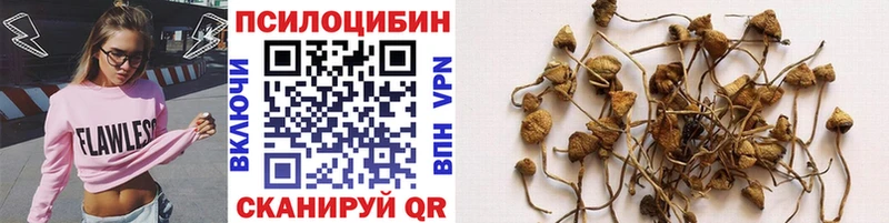 Галлюциногенные грибы ЛСД  это наркотические препараты  Мичуринск  blacksprut вход 